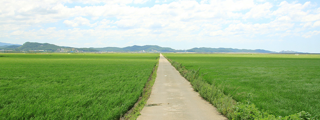 밥이야기 7