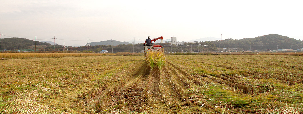 밥이야기 8