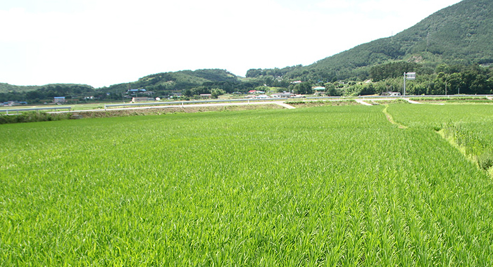 밥이야기 2