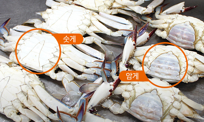 맛간장으로 게장담기 1